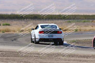 media/Oct-04-2025-OnGrid (Sat) [[44bd565ffa]]/Purple Group/Grapevine/